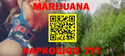 сатива Можга