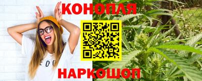сатива Можга