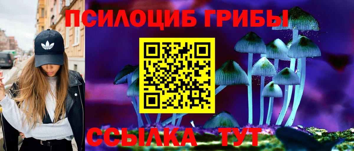 Галлюциногенные грибы Psilocybine cubensis  Псилоцибиновые грибы мицелий  Пятигорск  Вход с VPN 